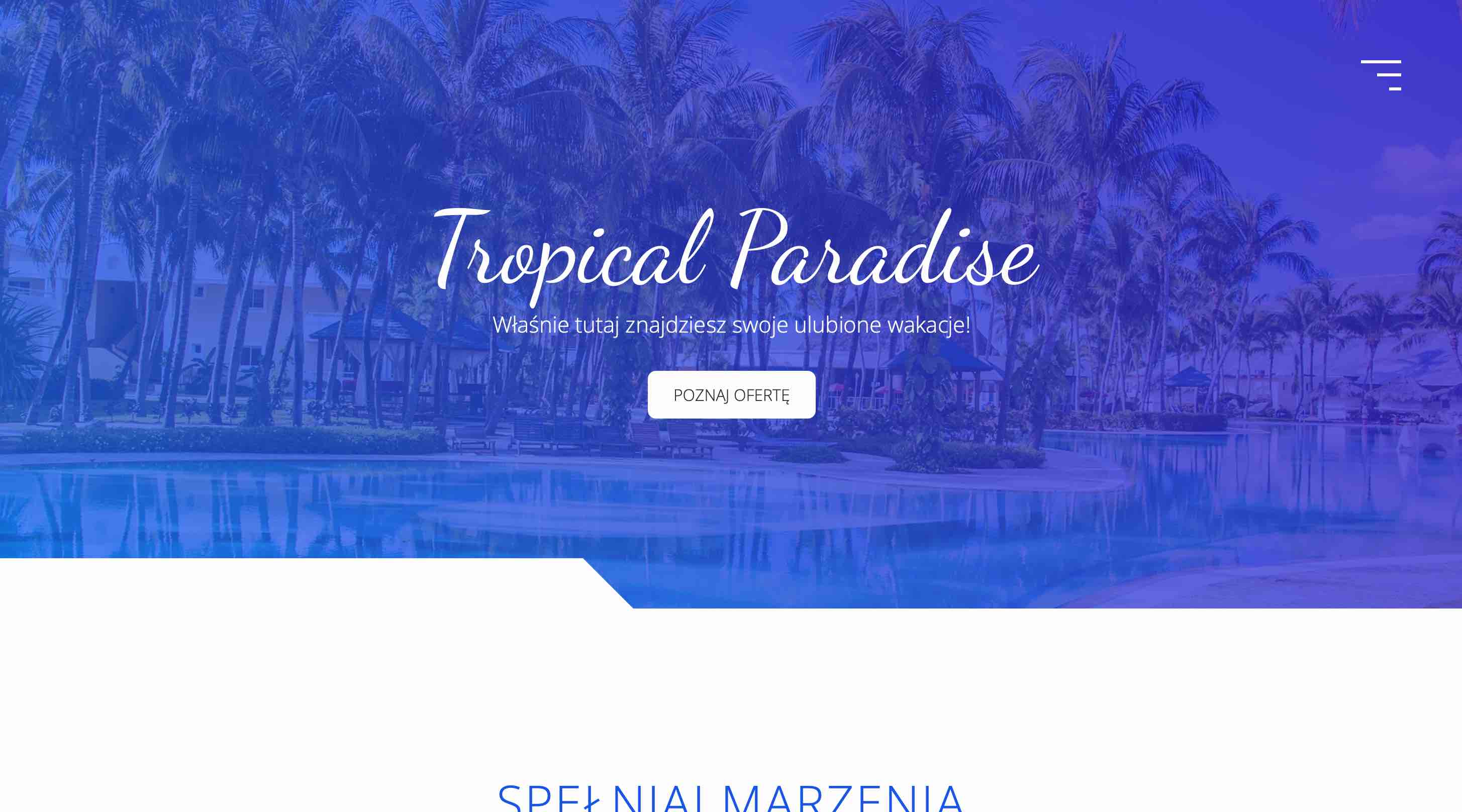 Podglad projektu Tropical Paradise Landing Page